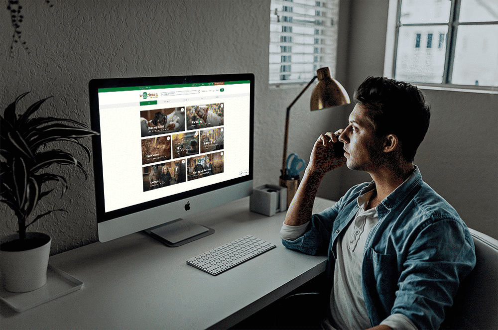 westrienen imac